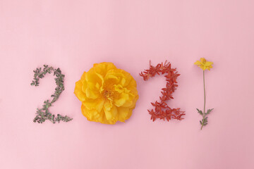 2021 made from natural leaves and flowers on pink background, Happy New Year wellness and healthy...
