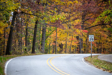 Obraz premium A speed limit 25 on a curving road with a forest in the background. 