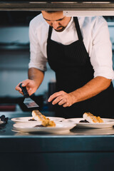 Portrait of a male chef serving fried cod in ceramic dish over stainless steel worktop in restaurant kitchen.