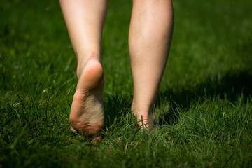 Woman's barefoot walking on the fresh, green grass in the sunny morning. Healthy lifestyle. Back side
