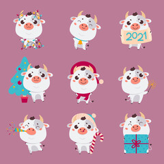 Set of cute silver cartoon bulls and cows.New year ox with various festive attributes.Chinese new year 2021 symbol.Set of holiday animals for the design of calendars,cards,advertising.Vector 