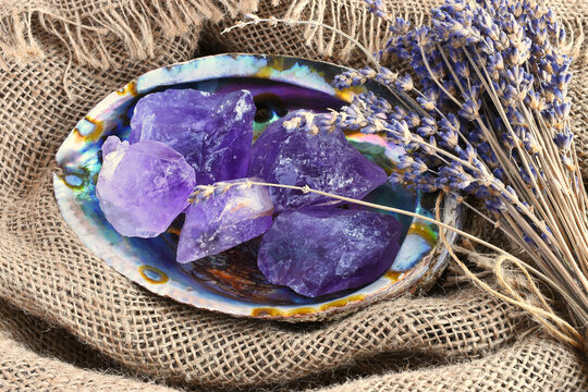 A close up image of several rough pieces of amethyst crystal in an abalone shell with dried lavender flowers. 