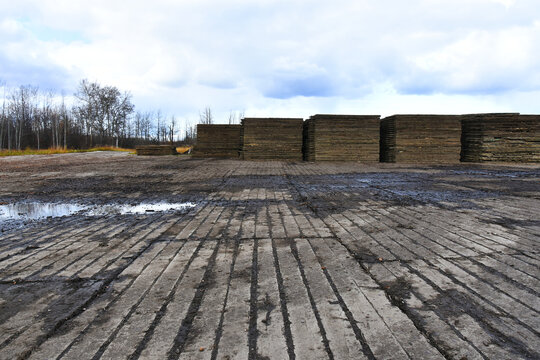 An image of wooden swamp mats used to create temporary road access and preserve the environment. 