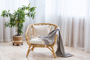 Interior of cozy modern house. Armchair with blanket on wooden floor, potted plant
