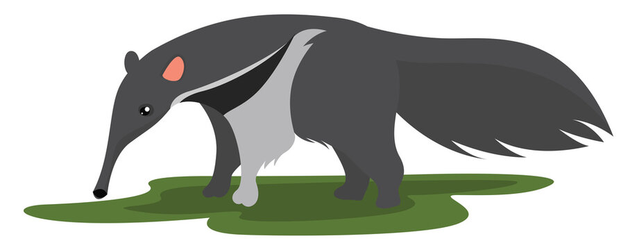 Grey ant eater, illustration, vector on white background