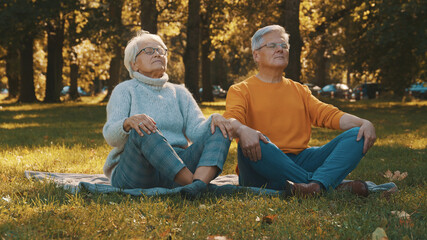 Wellbeing concept. Portrait of happy senior retired couple meditating in autumn park. High quality photo