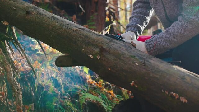 A man forest ranger cuts a log with a chainsaw in the forest