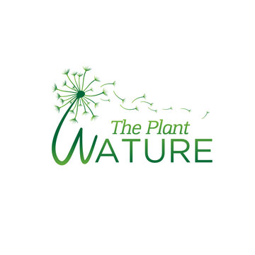 spread dandelion plant logo designs for foundation service