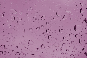 water drops on a pink background