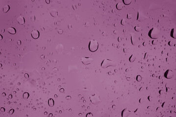 water drops on a pink background