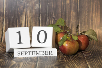 September 10. Day 10 of month. Calendar cube on wooden background with red apples, concept of business and an important event. Autumn season.