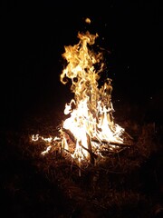 Fire camping nature autumn aesthetics .