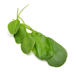 Bunch of spinach leaves on isolated white background
