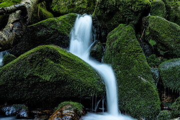 piękny górski wodospad, siła i piękno natury woda kamienie i zieleń - obrazy, fototapety, plakaty