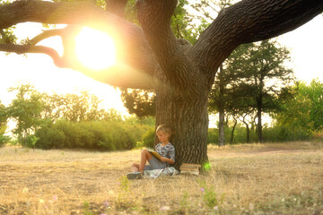 Cute little boy reading book near tree in park