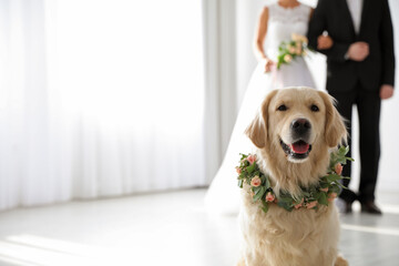 Adorable golden Retriever wearing wreath made of beautiful flowers on wedding. Space for text