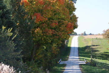 gravel road on a fall day