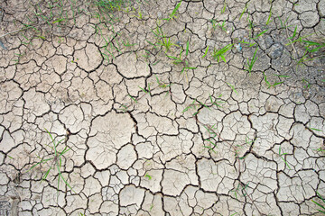 Dry land texture, deep crack. Cracked ground background. Effects of heat and drought. effects of global warming. 