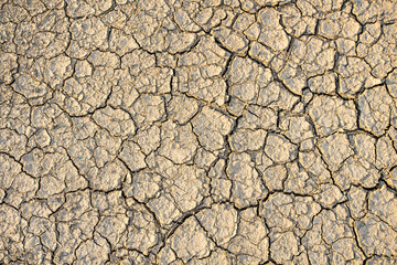 Dry land texture, deep crack. Cracked ground background. Effects of heat and drought. effects of global warming. 