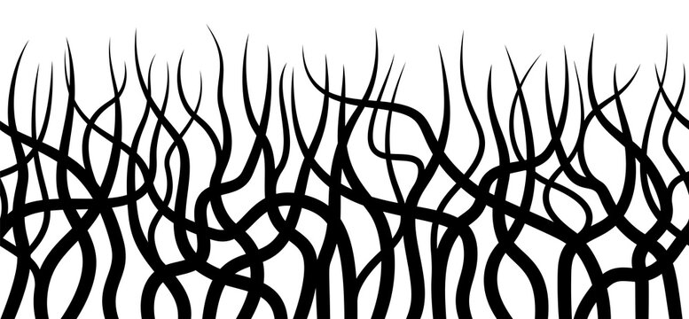 Abstract black and white horizontal seamless background. Root pattern with curved lines.