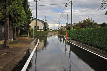 平川散歩・生け垣ロード