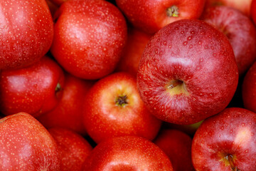 Red fuji apples. Healthy diet food concept.