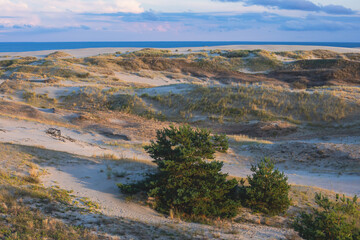 View of sand dunes of Curonian Spit, Kurshskaya Kosa National Park, Curonian Lagoon and the Baltic Sea, Kaliningrad Oblast, Russia and Klaipeda County, Lithuania, summer day