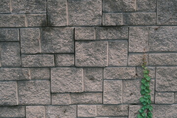 stone wall with mixed sized pieces