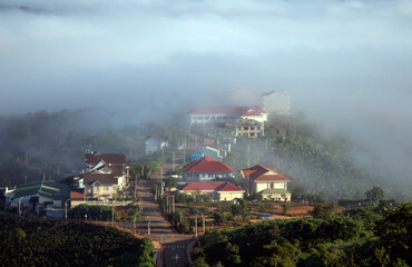 
an early plateau of Da Lat