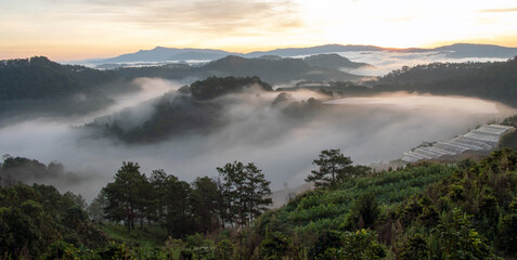 fog over the mountains