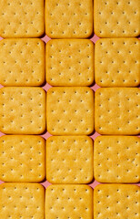 Many cracker cookies on a pink sutface. Top view.