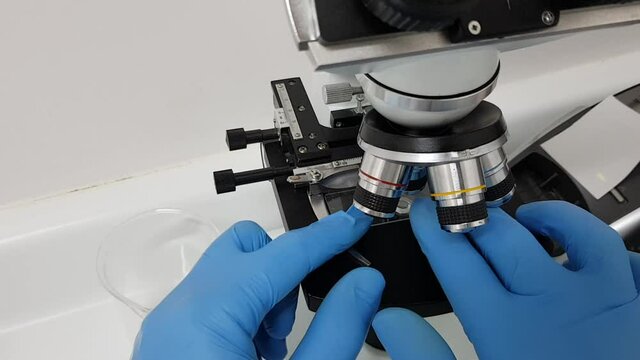 Researcher place slide on stage clip of microscope. Test and analysis 