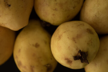 Guava fruit close up