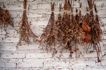 dried flowers