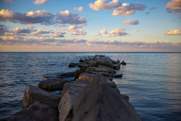 Seagulls sitting on rocks and enjoying the sunset over lake Erie, Ohio. 