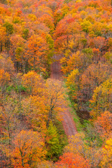 Fototapeta premium Aerial view of colorful fall foliage by the rural road in Michigan upper peninsula