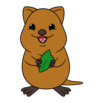 Cartoon Cute Quokka Vector Illustration