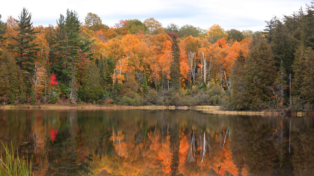 Autumn tree reflections in Little Beaver lake in Pictured rocks national lake shore in Michigan upper peninsula.