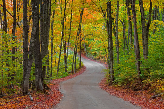 Colorful autumn trees  along winding road in Michigan upper peninsula near Picture Rocks lake shore on the way to Beaver lake