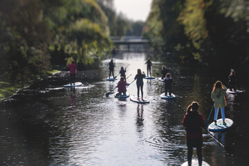 Group of sup surfers stand up paddle board, women stand up paddling together in the city river and canal