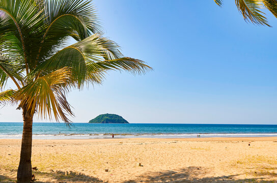 Isla De Coral Nayarit