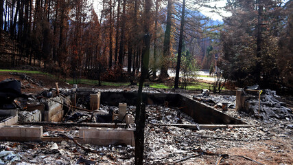 Results of the Forest Fire damage at Blue River, Oregon