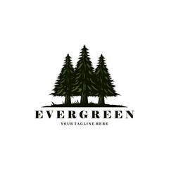 evergreen logo vintage illustration design, pine trees logo