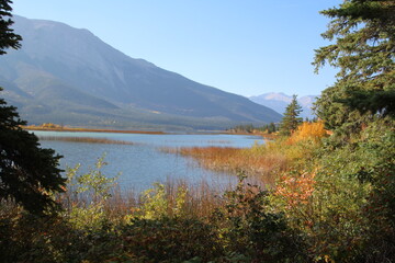 Fototapeta na wymiar Autumn On Talbot Lake, Jasper National Park, Alberta