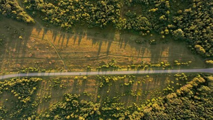 AERIAL countryside road top-down view with cars and forest, Moscow Region, Russia