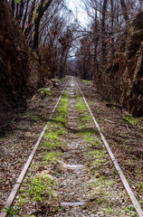 Abandoned and overgrown train tracks leading towards bush fire affected forests