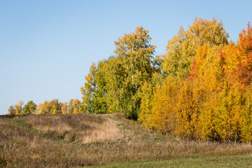 Scenery. Rural hilly area. Sunny, bright, autumn day. Trees and bushes with green and yellow leaves, a blue sky above the horizon.