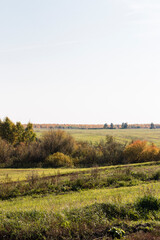Autumn landscape. In the foreground are dense bushes. Further there is a field with mowed grass....