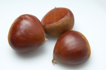 栗の実三個のアップ