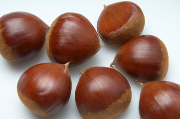 栗の実七個